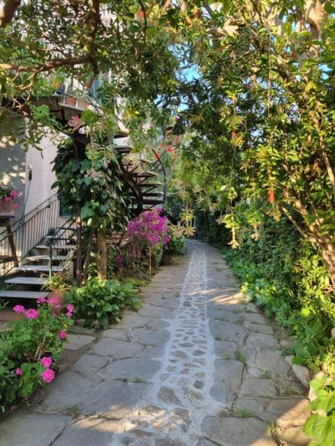 马里纳迪马萨Casa Cambini住宿加早餐旅馆 外观 照片